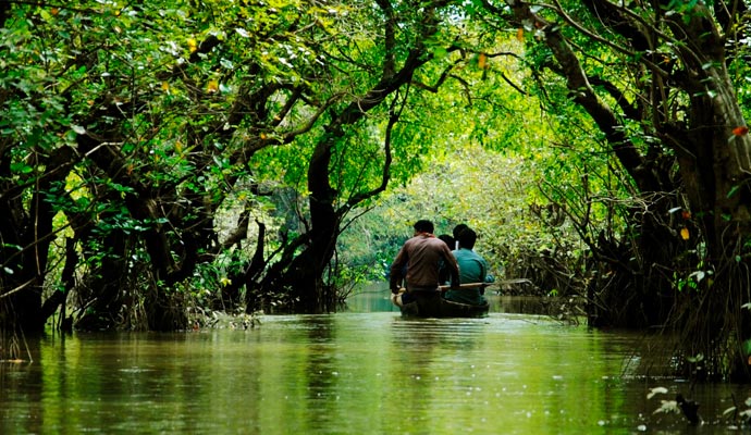 Ratargul Swamp Forest, Sylhet