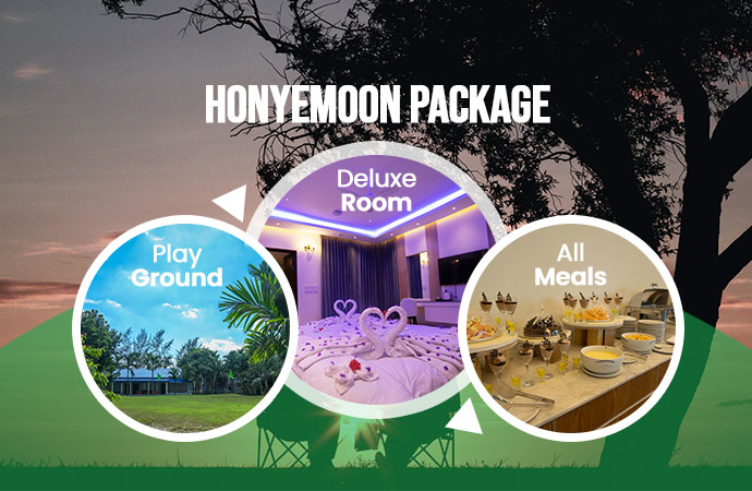 Honeymoon Package