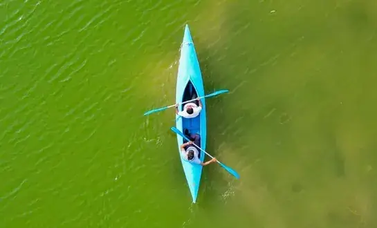 Kayaking and lakeside activities